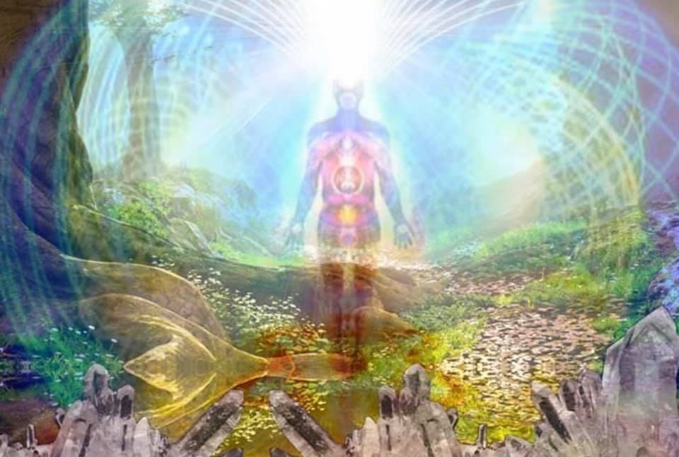 Light Body and Magnificence